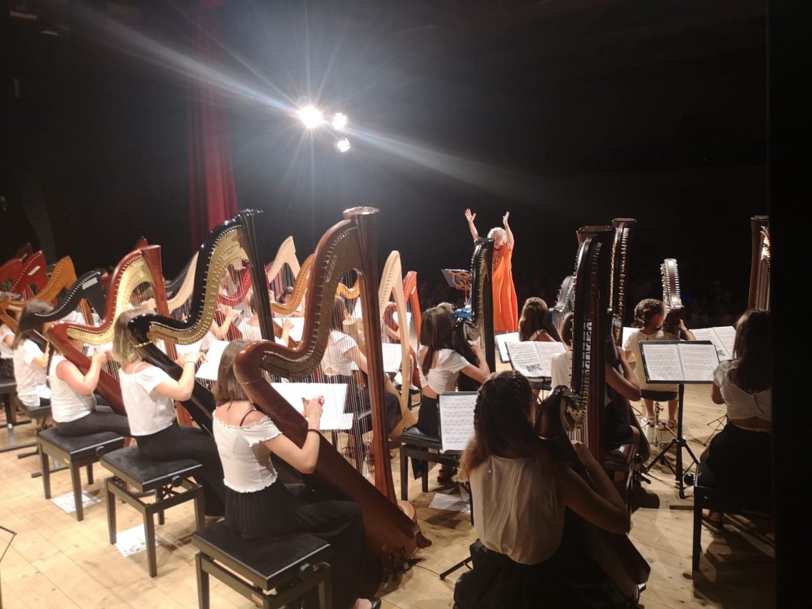 OTTANTA ARPE, UNA VOCE