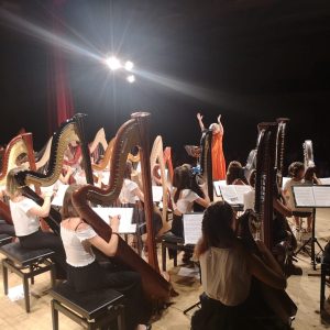 OTTANTA ARPE, UNA VOCE